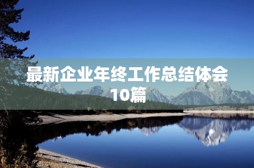 最新企业年终工作总结体会10篇
