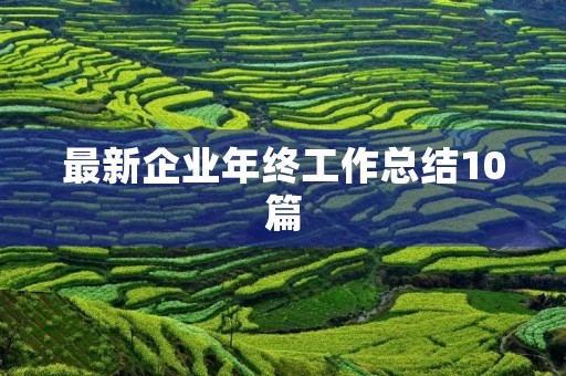 最新企业年终工作总结10篇