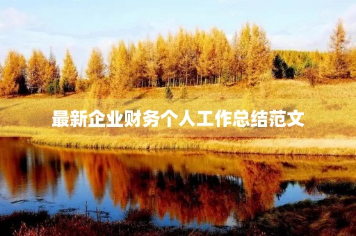 最新企业财务个人工作总结范文