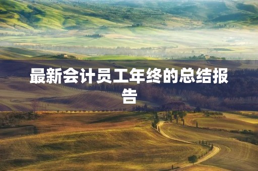 最新会计员工年终的总结报告 最新会计员工年终的总结报告