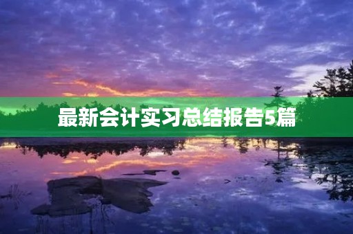 最新会计实习总结报告5篇 最新会计实习总结报告5篇
