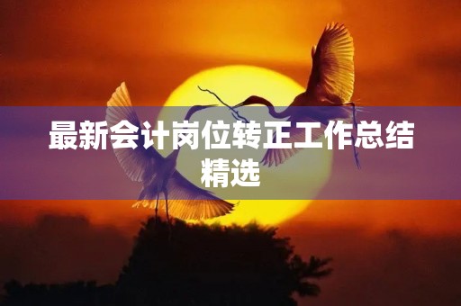 最新会计岗位转正工作总结精选(10篇)