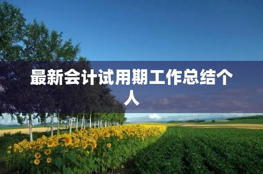 最新会计试用期工作总结个人