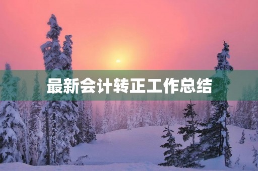 最新会计转正工作总结