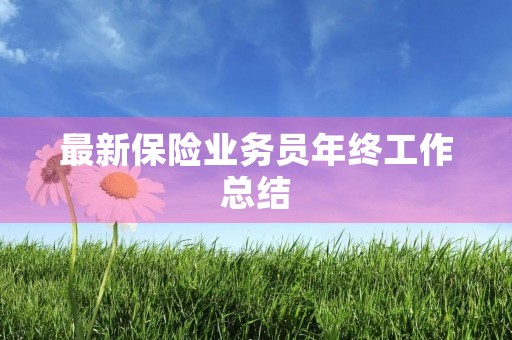 最新保险业务员年终工作总结