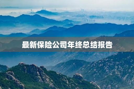 最新保险公司年终总结报告