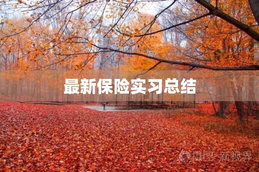最新保险实习总结