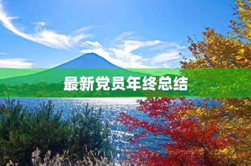 最新党员年终总结 最新党员年终总结