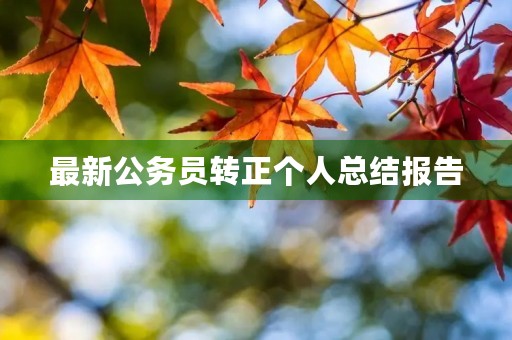 最新公务员转正个人总结报告