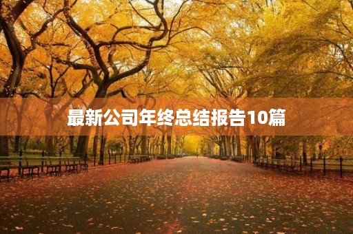 最新公司年终总结报告10篇 最新公司年终总结报告10篇