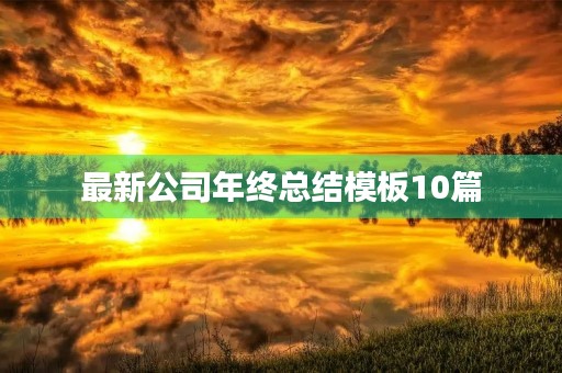 最新公司年终总结模板10篇