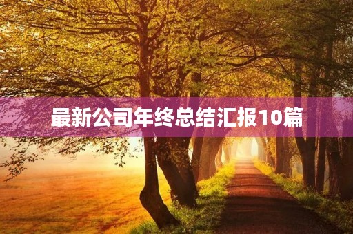 最新公司年终总结汇报10篇