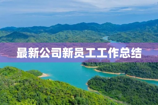 最新公司新员工工作总结