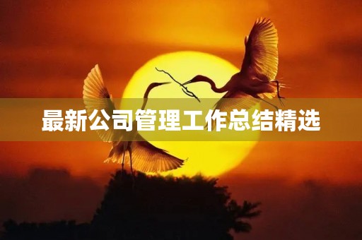 最新公司管理工作总结精选
