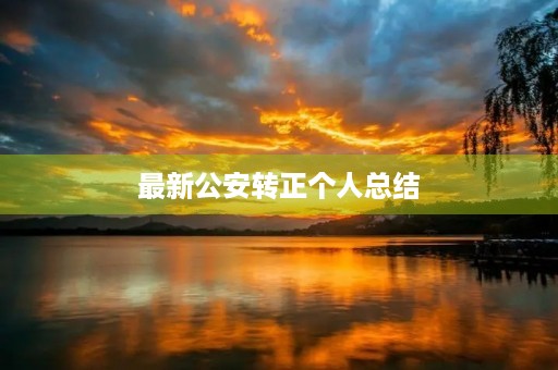 最新公安转正个人总结