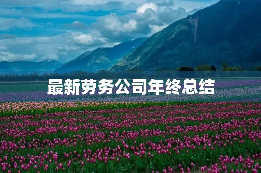 最新劳务公司年终总结