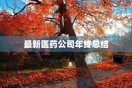 最新医药公司年终总结
