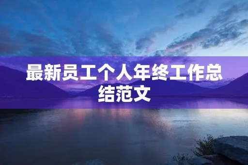 最新员工个人年终工作总结范文