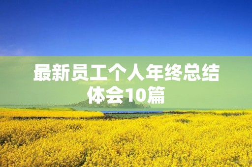 最新员工个人年终总结体会10篇