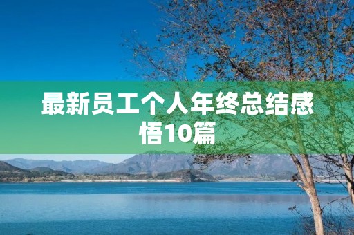 最新员工个人年终总结感悟10篇