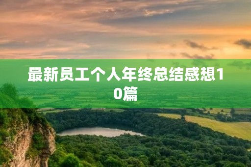 最新员工个人年终总结感想10篇