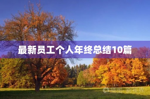 最新员工个人年终总结10篇 最新员工个人年终总结10篇