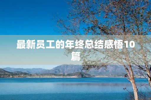 最新员工的年终总结感悟10篇 最新员工的年终总结感悟10篇