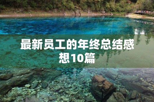 最新员工的年终总结感想10篇 最新员工的年终总结感想10篇