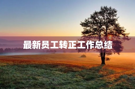 最新员工转正工作总结