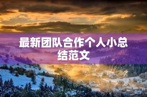最新团队合作个人小总结范文 最新团队合作个人小总结范文