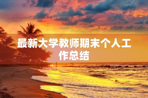 最新大学教师期末个人工作总结