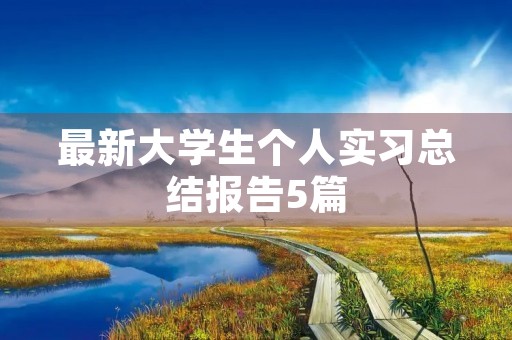 最新大学生个人实习总结报告5篇