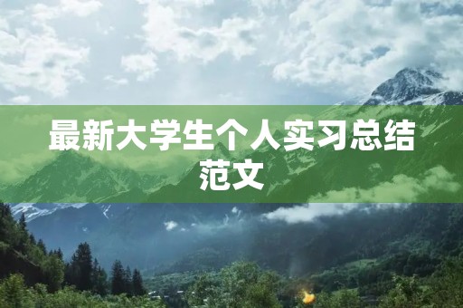 最新大学生个人实习总结范文