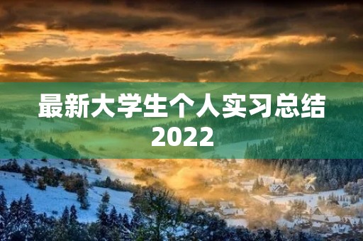 最新大学生个人实习总结2022 最新大学生个人实习总结2022