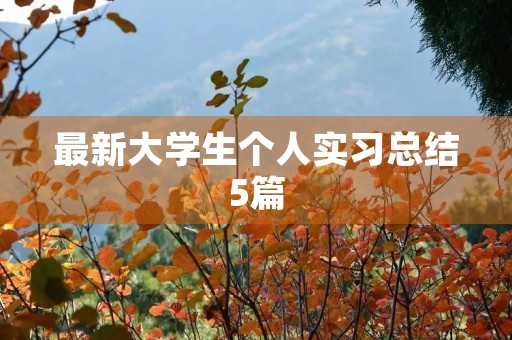 最新大学生个人实习总结5篇
