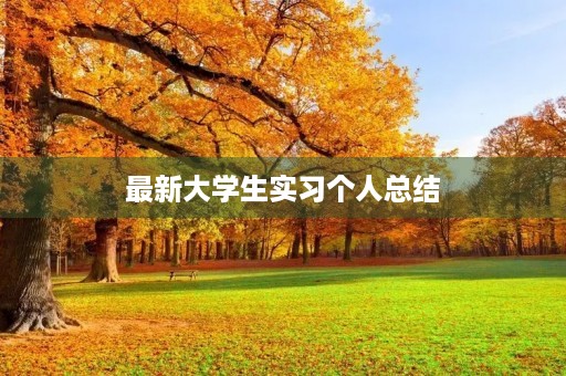 最新大学生实习个人总结