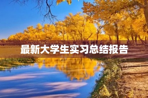 最新大学生实习总结报告