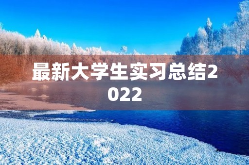 最新大学生实习总结2022 最新大学生实习总结2022