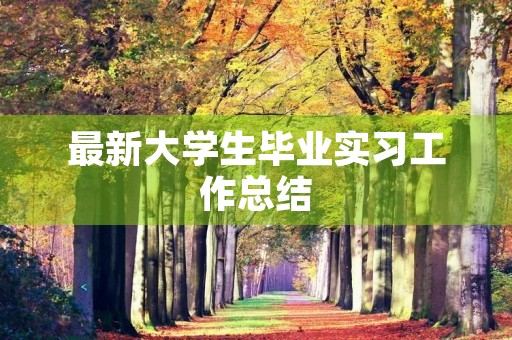 最新大学生毕业实习工作总结