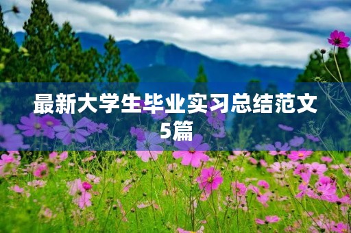 最新大学生毕业实习总结范文5篇