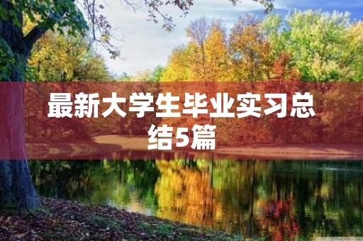 最新大学生毕业实习总结5篇