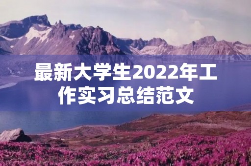 最新大学生2022年工作实习总结范文 最新大学生2022年工作实习总结范文