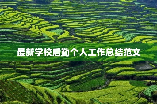 最新学校后勤个人工作总结范文