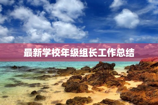 最新学校年级组长工作总结