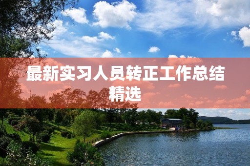 最新实习人员转正工作总结精选