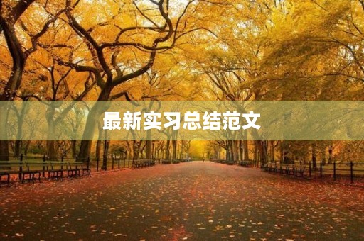 最新实习总结范文 最新实习总结范文