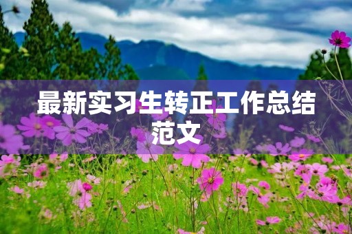 最新实习生转正工作总结范文