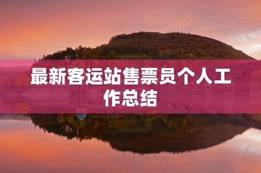 最新客运站售票员个人工作总结