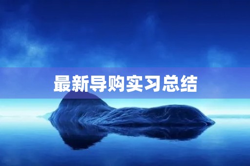 最新导购实习总结 最新导购实习总结