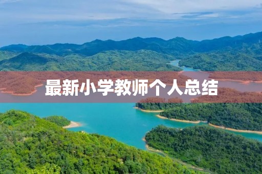 最新小学教师个人总结